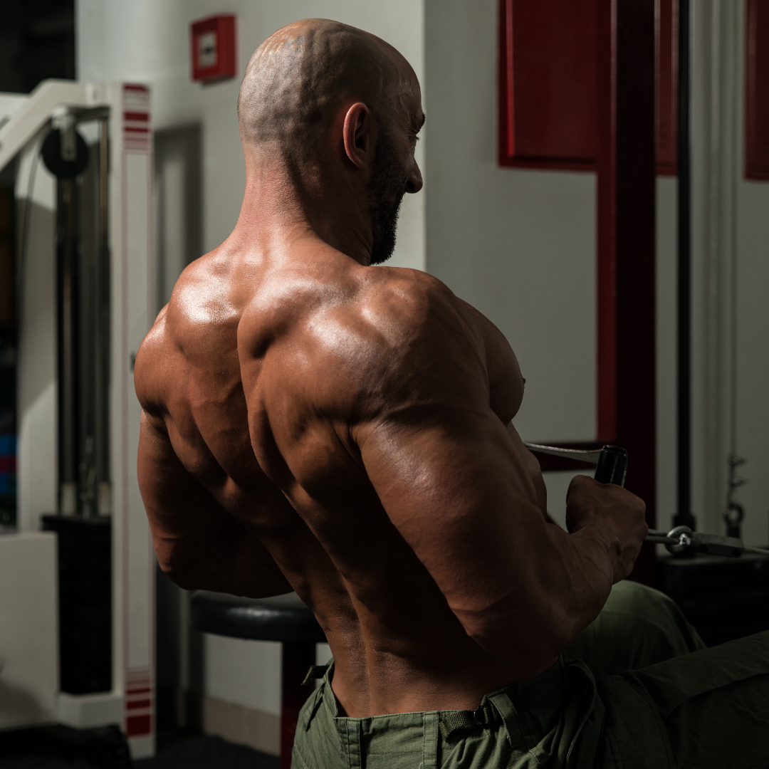 The Best Back Exercises To Build Muscle